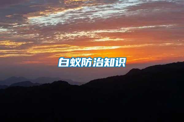 白蟻防治知識(shí)