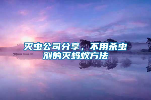 滅蟲公司分享，不用殺蟲劑的滅螞蟻方法