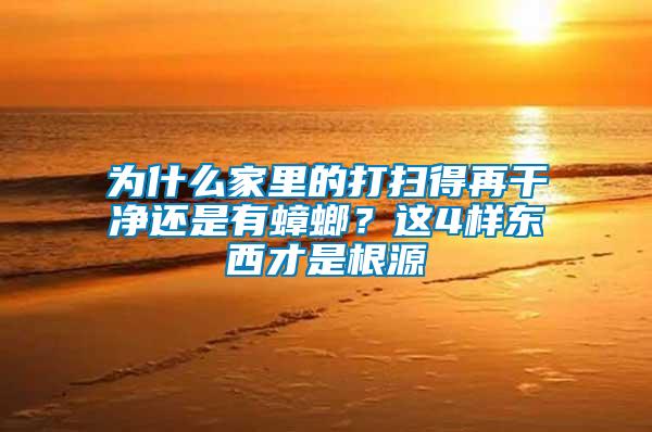 為什么家里的打掃得再干凈還是有蟑螂？這4樣?xùn)|西才是根源