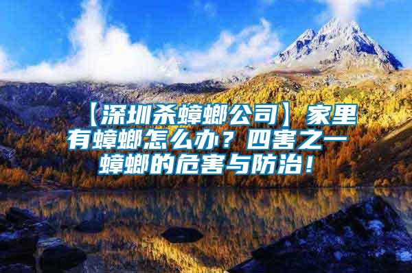 【深圳殺蟑螂公司】家里有蟑螂怎么辦？四害之一蟑螂的危害與防治！