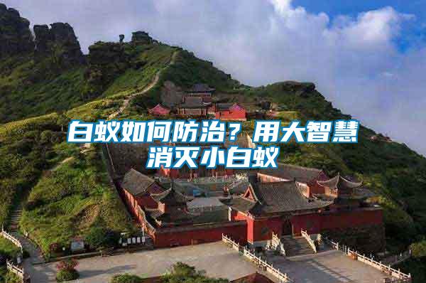 白蟻如何防治？用大智慧消滅小白蟻