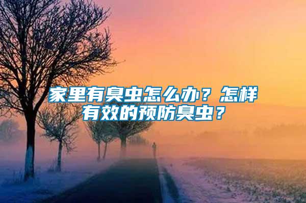 家里有臭蟲怎么辦？怎樣有效的預(yù)防臭蟲？