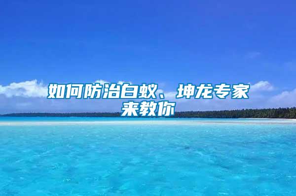 如何防治白蟻、坤龍專家來教你