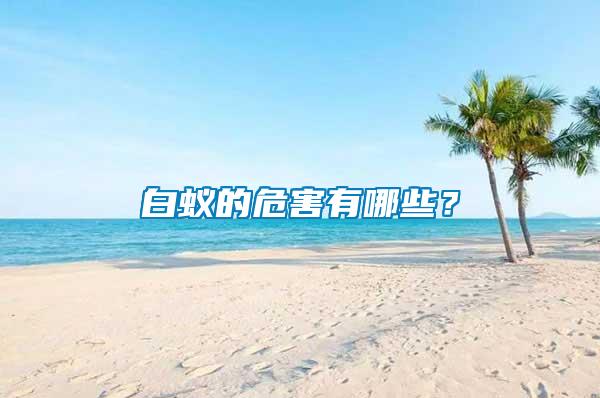 白蟻的危害有哪些？