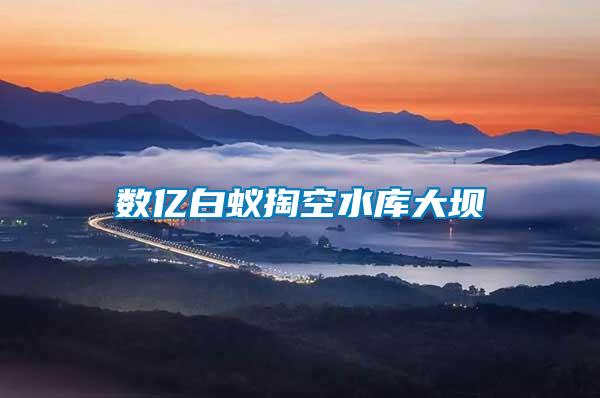 數(shù)億白蟻掏空水庫(kù)大壩