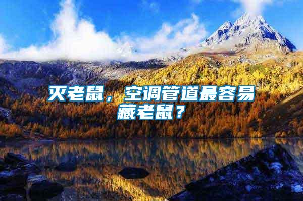 滅老鼠，空調(diào)管道最容易藏老鼠？