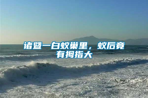 諸暨一白蟻巢里，蟻后竟有拇指大