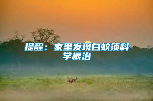 提醒：家里發(fā)現(xiàn)白蟻?lái)毧茖W(xué)根治