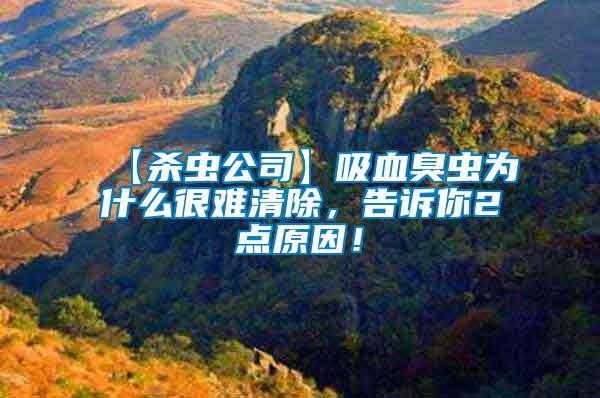 【殺蟲公司】吸血臭蟲為什么很難清除，告訴你2點(diǎn)原因！