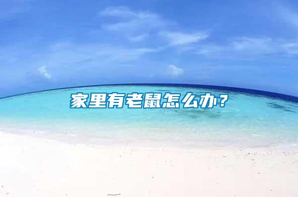 家里有老鼠怎么辦？