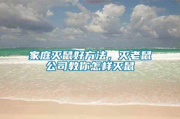 家庭滅鼠好方法，滅老鼠公司教你怎樣滅鼠
