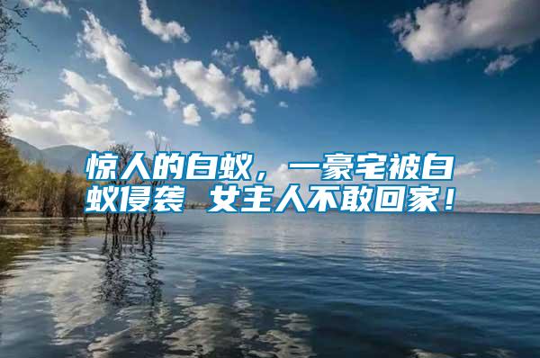 驚人的白蟻，一豪宅被白蟻侵襲 女主人不敢回家！
