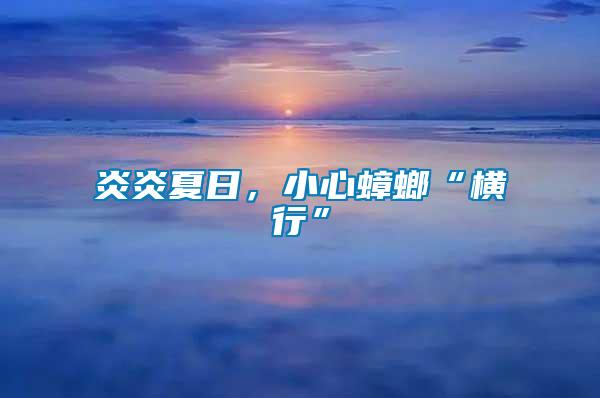 炎炎夏日，小心蟑螂“橫行”