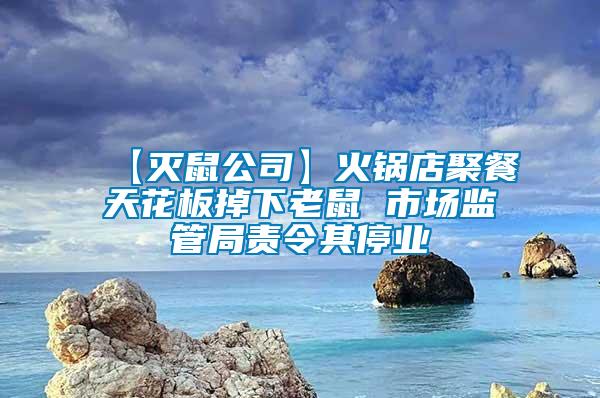 【滅鼠公司】火鍋店聚餐天花板掉下老鼠 市場監(jiān)管局責令其停業(yè)