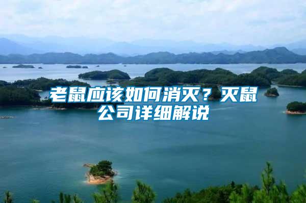 老鼠應該如何消滅？滅鼠公司詳細解說