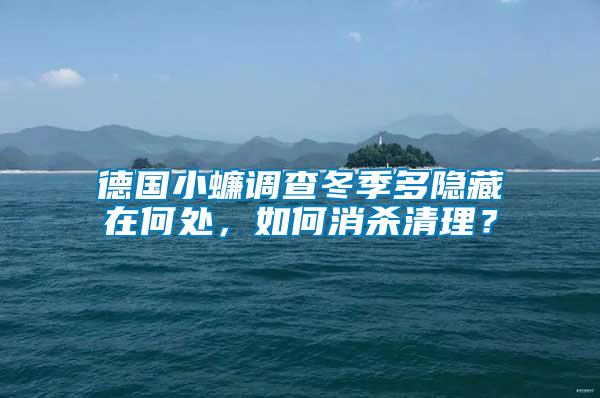 德國小蠊調(diào)查冬季多隱藏在何處，如何消殺清理？