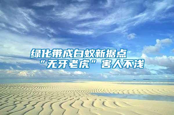 綠化帶成白蟻新?lián)c(diǎn) “無(wú)牙老虎”害人不淺