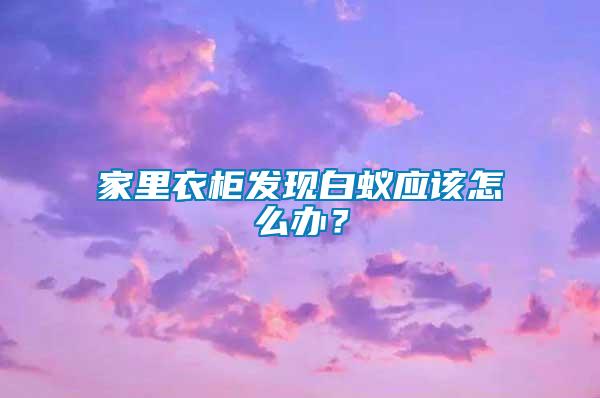 家里衣柜發(fā)現(xiàn)白蟻應該怎么辦？