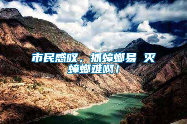 市民感嘆，抓蟑螂易 滅蟑螂難?。?/></p>
             <p style=