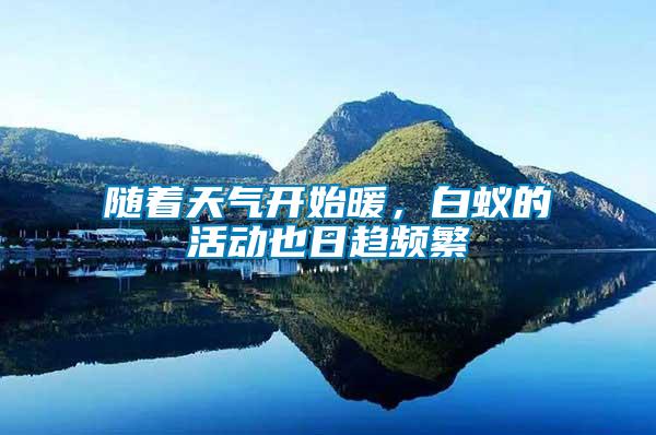 隨著天氣開始暖，白蟻的活動(dòng)也日趨頻繁