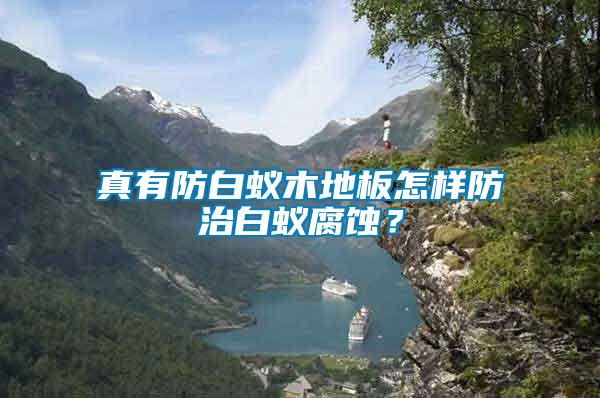 真有防白蟻木地板怎樣防治白蟻腐蝕？