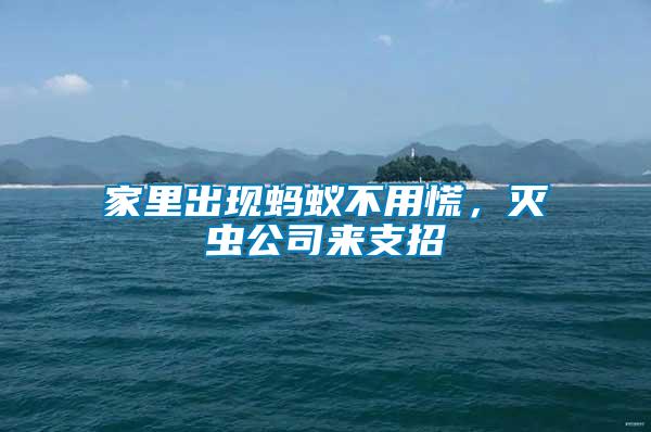 家里出現(xiàn)螞蟻不用慌，滅蟲公司來支招