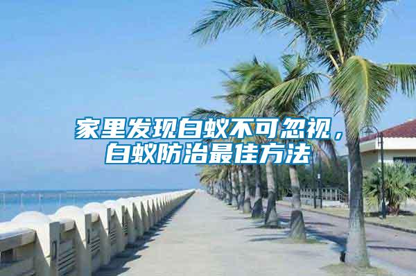 家里發(fā)現(xiàn)白蟻不可忽視，白蟻防治最佳方法