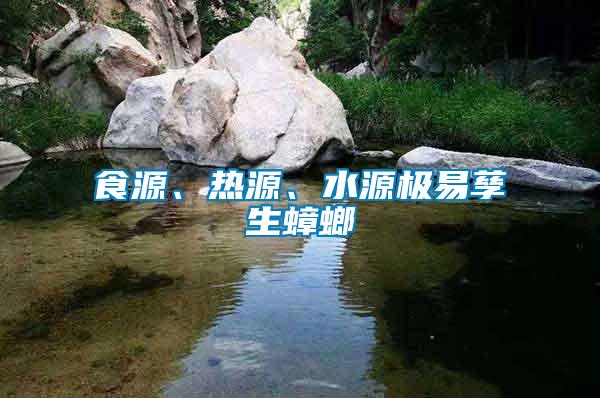 食源、熱源、水源極易孳生蟑螂