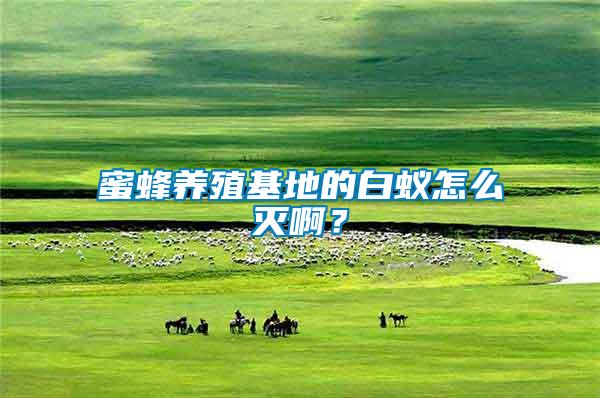 蜜蜂養(yǎng)殖基地的白蟻怎么滅???