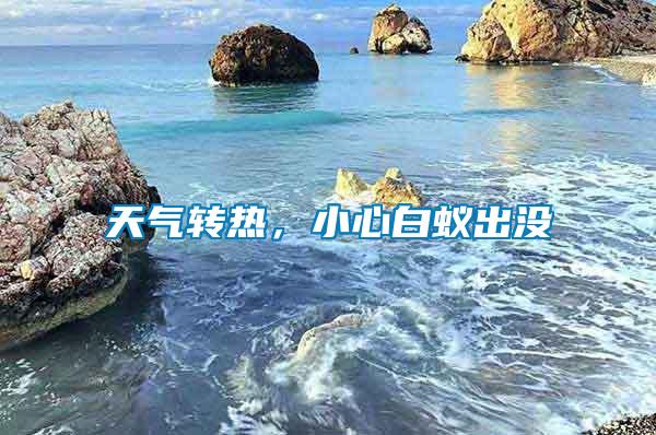天氣轉(zhuǎn)熱，小心白蟻出沒