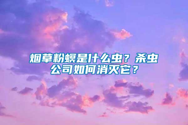 煙草粉螟是什么蟲？殺蟲公司如何消滅它？