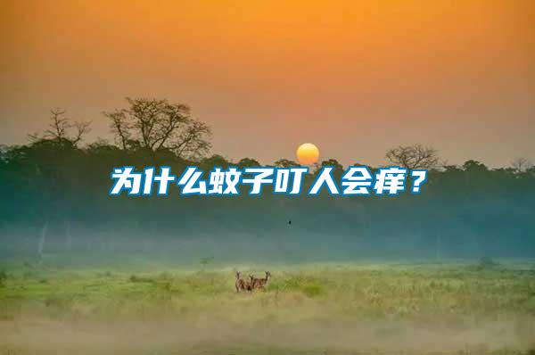為什么蚊子叮人會癢？