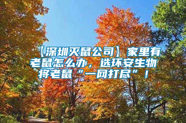 【深圳滅鼠公司】家里有老鼠怎么辦，選環(huán)安生物將老鼠“一網(wǎng)打盡”！