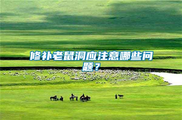 修補(bǔ)老鼠洞應(yīng)注意哪些問題？