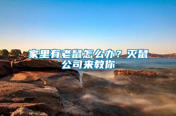 家里有老鼠怎么辦？滅鼠公司來(lái)教你