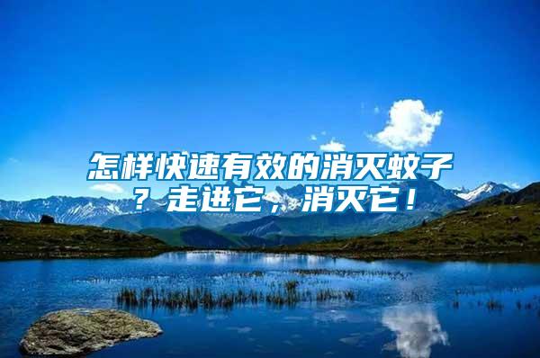 怎樣快速有效的消滅蚊子？走進(jìn)它，消滅它！