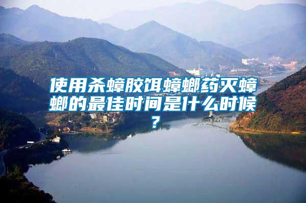 使用殺蟑膠餌蟑螂藥滅蟑螂的最佳時(shí)間是什么時(shí)候？