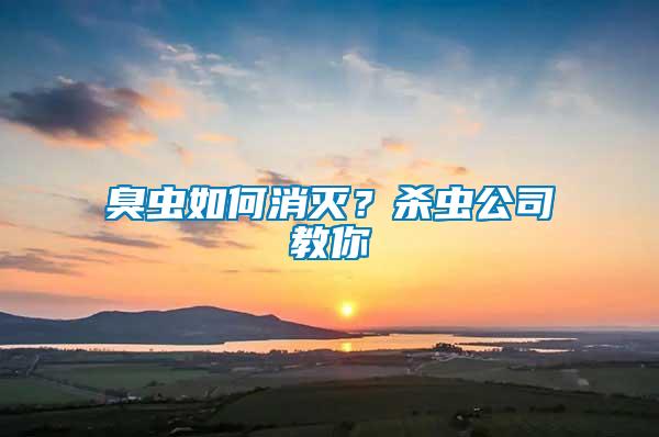 臭蟲如何消滅？殺蟲公司教你