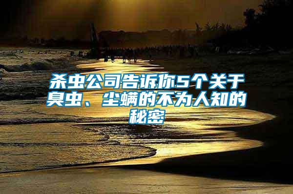 殺蟲公司告訴你5個(gè)關(guān)于臭蟲、塵螨的不為人知的秘密