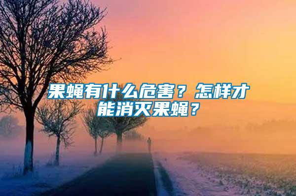 果蠅有什么危害？怎樣才能消滅果蠅？