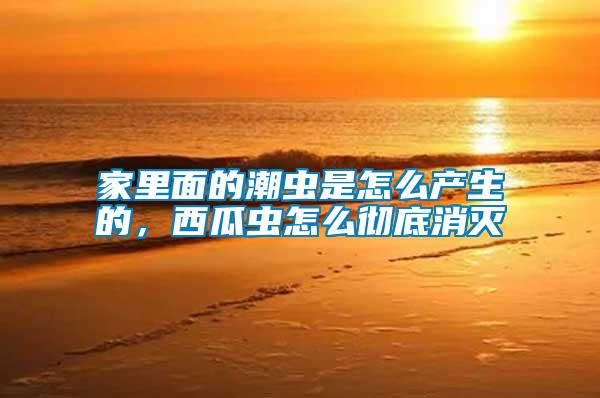 家里面的潮蟲是怎么產(chǎn)生的，西瓜蟲怎么徹底消滅