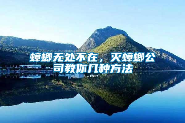 蟑螂無處不在，滅蟑螂公司教你幾種方法