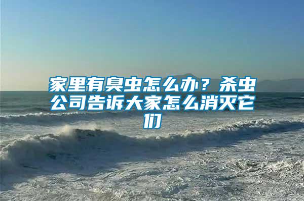 家里有臭蟲(chóng)怎么辦？殺蟲(chóng)公司告訴大家怎么消滅它們