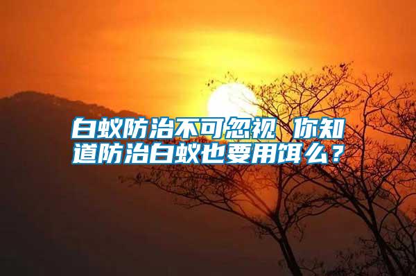 白蟻防治不可忽視 你知道防治白蟻也要用餌么？