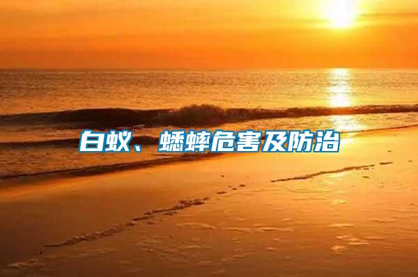 白蟻、蟋蟀危害及防治
