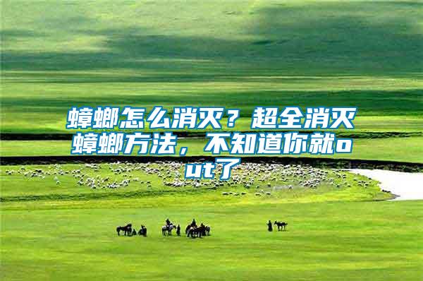蟑螂怎么消滅？超全消滅蟑螂方法，不知道你就out了