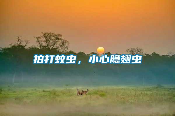 拍打蚊蟲，小心隱翅蟲
