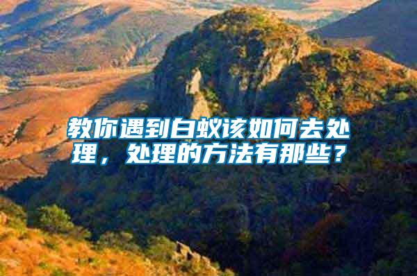 教你遇到白蟻該如何去處理，處理的方法有那些？