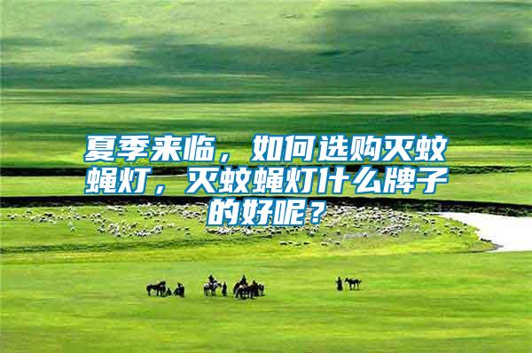 夏季來臨，如何選購滅蚊蠅燈，滅蚊蠅燈什么牌子的好呢？