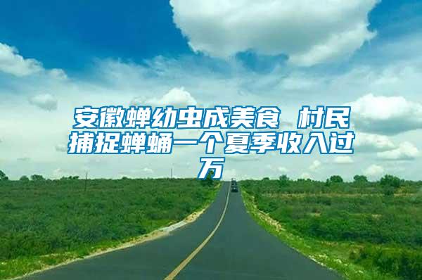 安徽蟬幼蟲成美食 村民捕捉蟬蛹一個(gè)夏季收入過萬